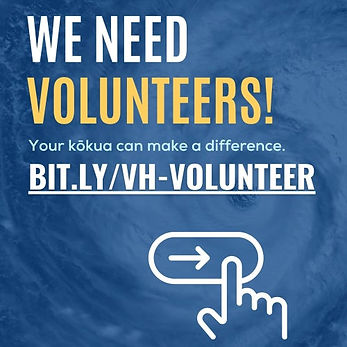 vibrant hawaii volunteer.jpeg