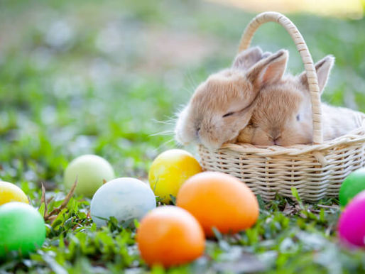 Wishing you a Happy Easter!