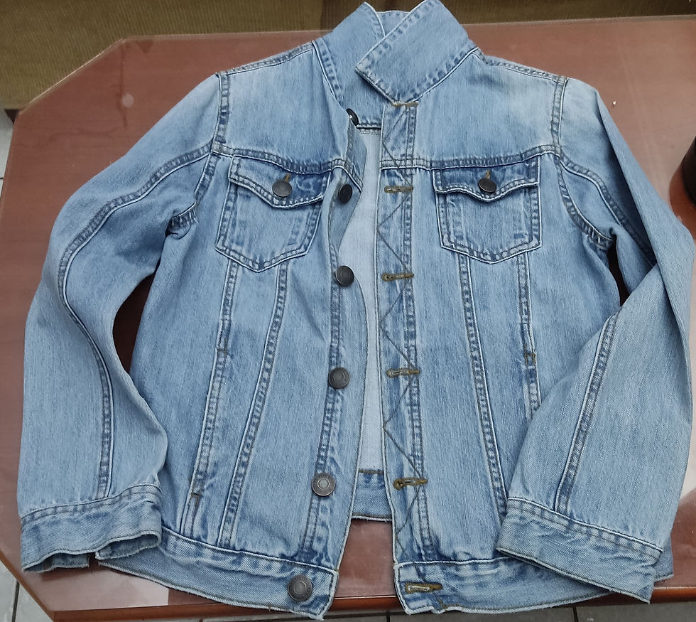 Echo Denim Jacket
