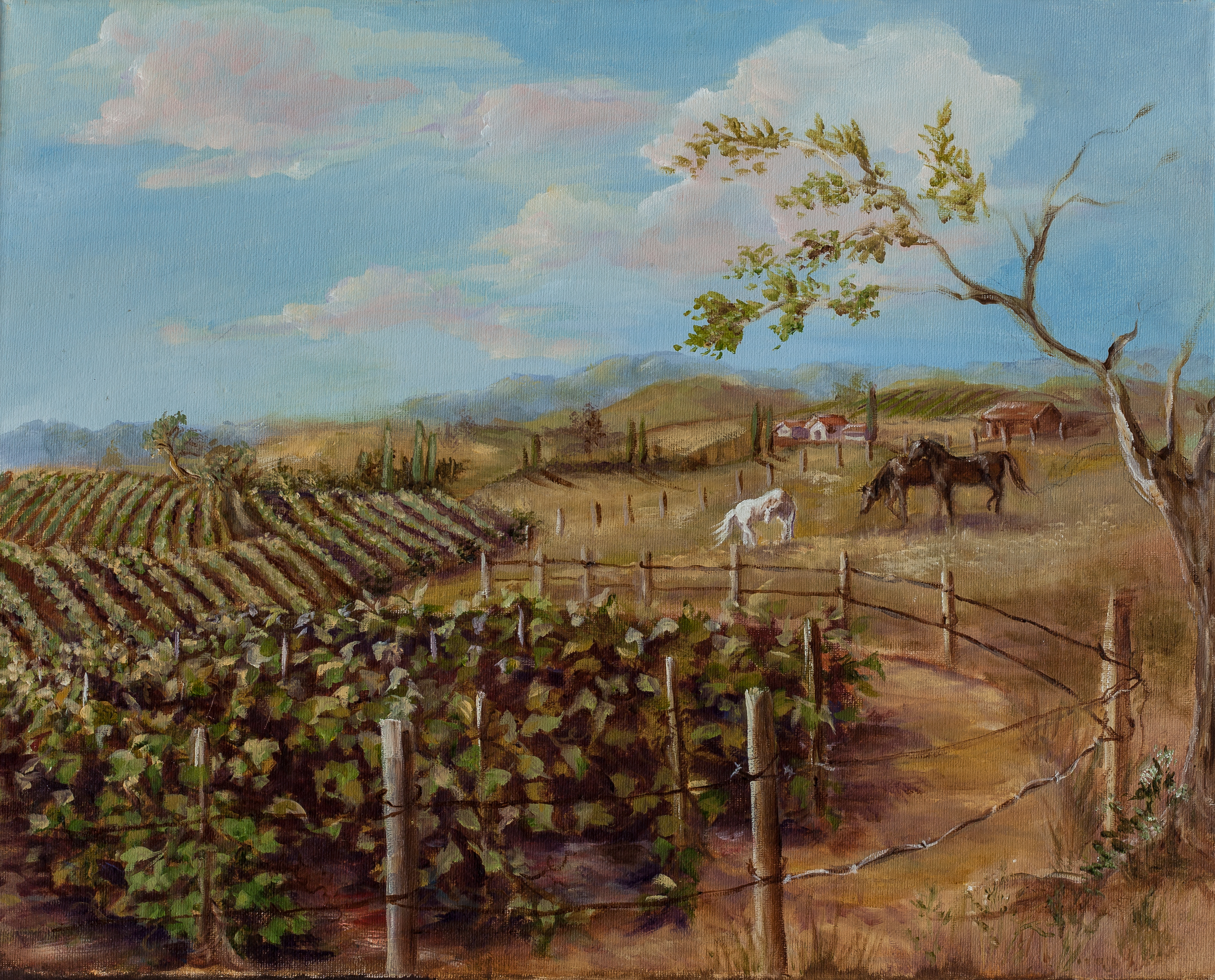 TEMECULA VINEYARD RANCH 1