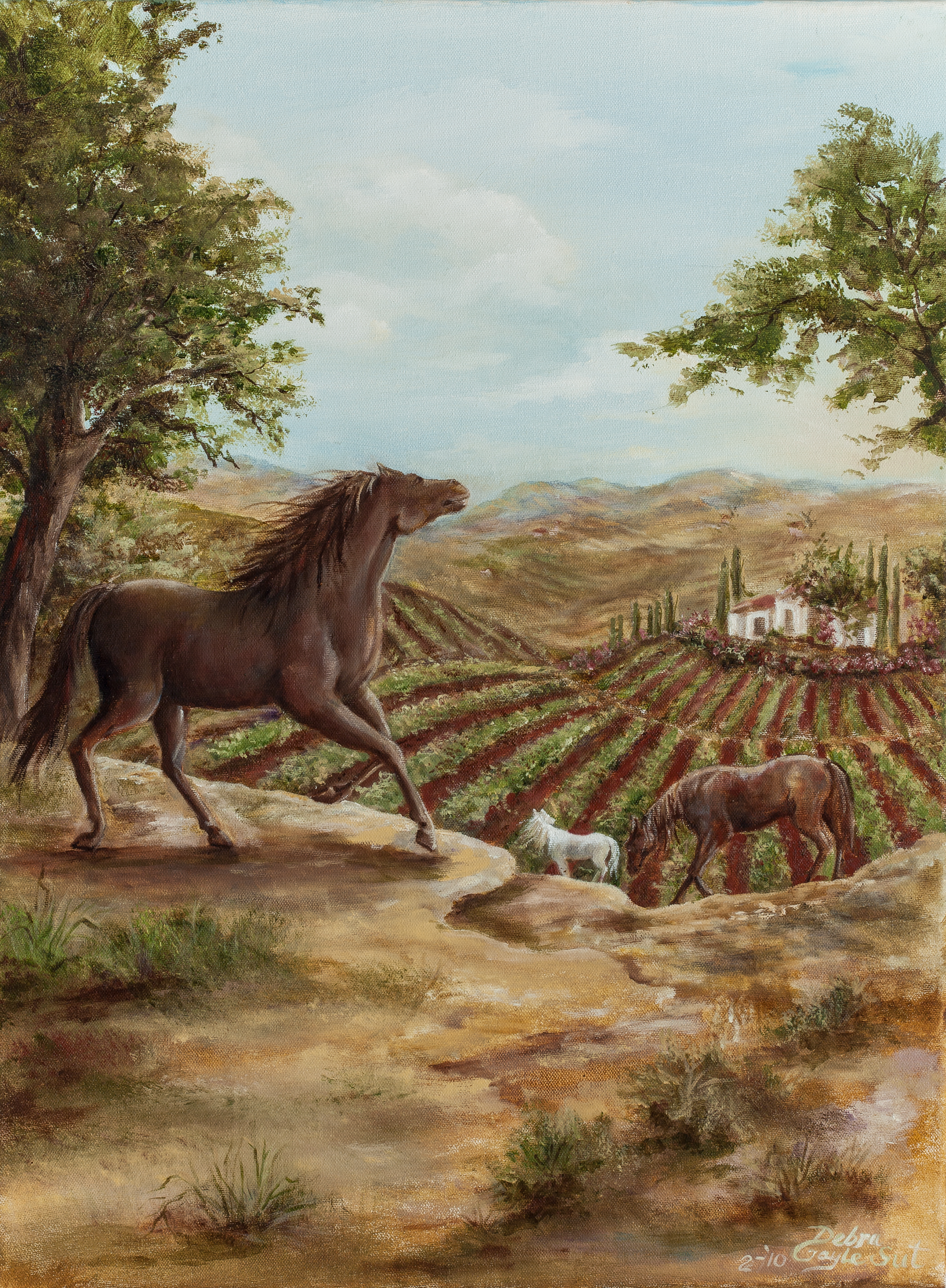 TEMECULA VINEYARD RANCH 3