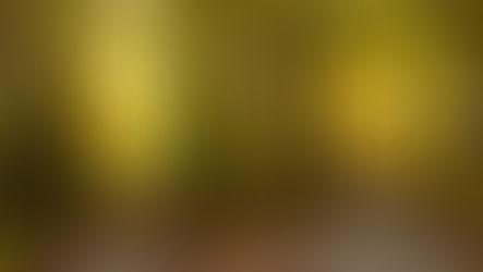 The Everyday Choices We Do Have