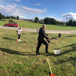 Viešųjų erdvių priežiūra ir pritaikymas gyventojams