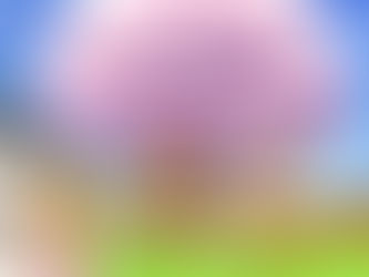 Поздравляем наших прекрасных женщин с Международным женским днем 8 марта!