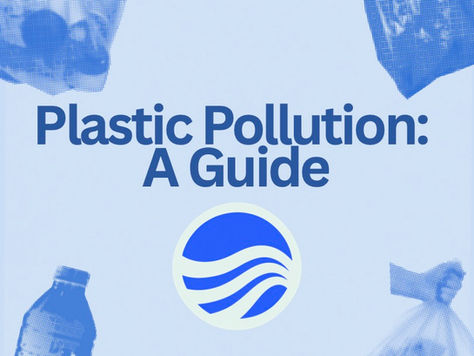 The harms of plastic polution