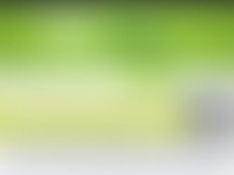 Every (Member) Journey Needs a Road Map