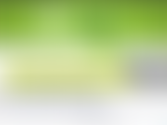 Fight Member Flight with Action