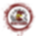 Carolina Wing Logo.png
