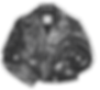 chaqueta minerva_edited.png