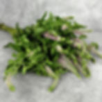 Thumbnail: Mini Spray Veronica Flower Pink in Bulk. Filler Flower Wholesale for DIY Florists.