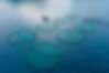 Offshore aquaculture in floating fish farming cages of fish farm in Aegean sea. Aerial sho
