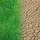 A photo symbolizing the effects of climate change, drought and environmental degradation.j