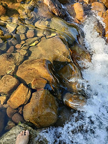 beautiful picture of the water in lane forest..jpg