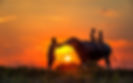 Silhouette children riding on a buffalo with father in sunset .jpg