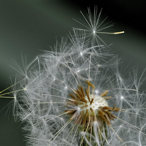 Hogyan került a teljesítménykényszer az ágyunkba- és hogyan szabadulhatunk meg tőle?