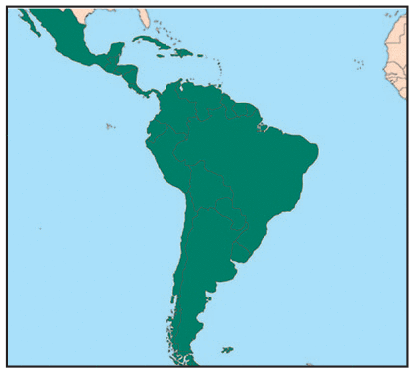 [Open Access] New article: COVID-19 pandemic in informal settlements 