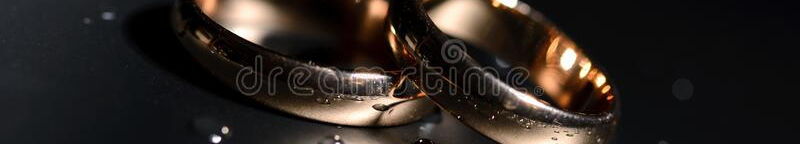 wedding-rings-black-background-white-rose-drops-173847397.jpg