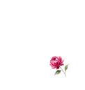 FB Quotes doll girl (2).png
