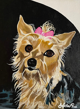 Yorkie with Pink Bow on Black and Gray.png