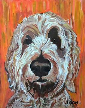 Hairy Brown Sheepdog.png