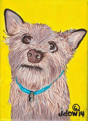 Terrier on Yellow Background.png