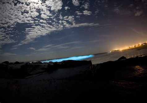 Red Tide.jpeg