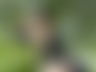 Why Lupine Pet’s Collars Still Beat the Competition After 30 Years