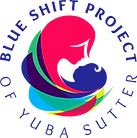 Postpartum Depression Anxiety Psychosis Support