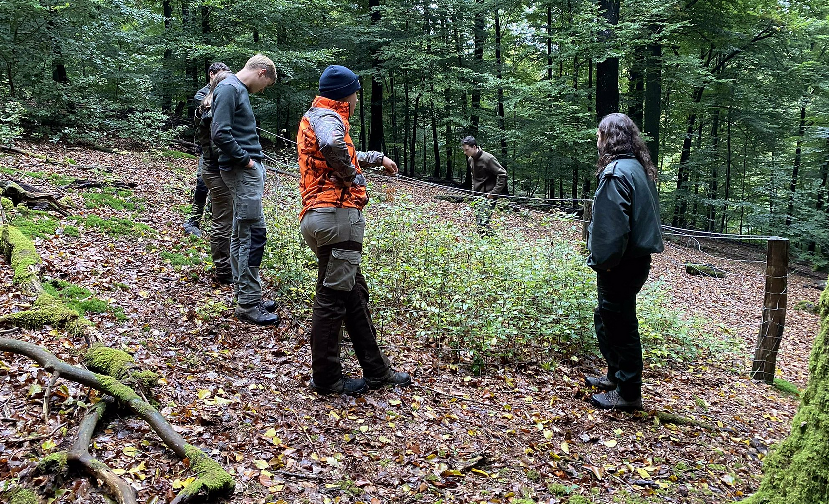 575920311_1402359821889853_5810110620119