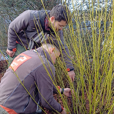 Capture d’écran 2026-03-20 à 11.25.08.png