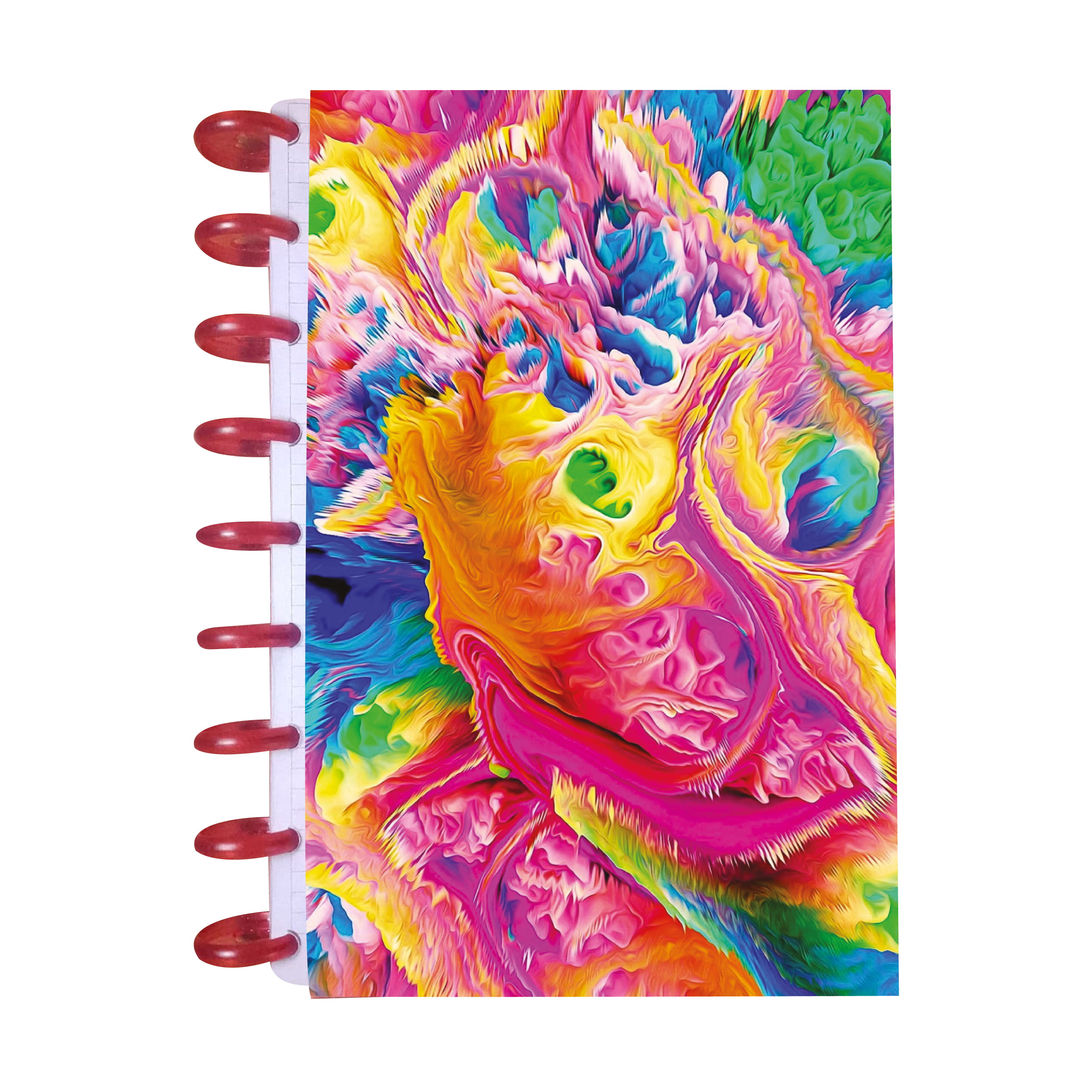 Cuaderno de Discos Frances Pasta Dura Mod FullColor