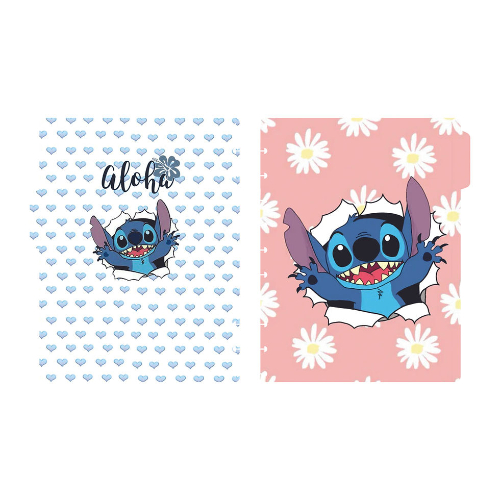 Miniatura: Cuaderno de discos profesional mod.Stitch