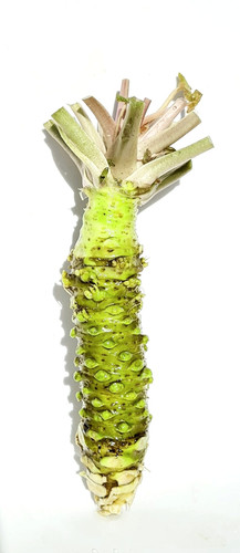 WASABI☆商品 Kizami Wasabi Shoyu Aji {Kinjirushi} - 250g