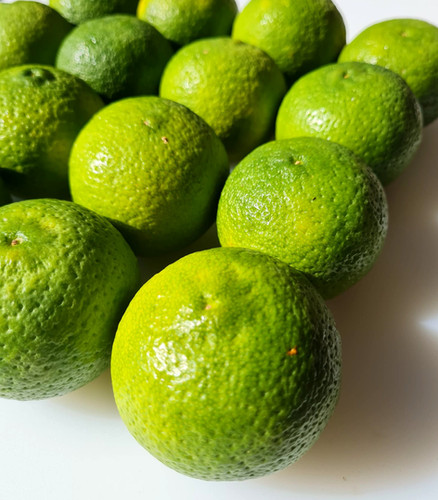 Ao Yuzu from Japan - Green Yuzu - 4 fruits | ISSé JAPAN