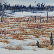 Winter Marsh & Upland