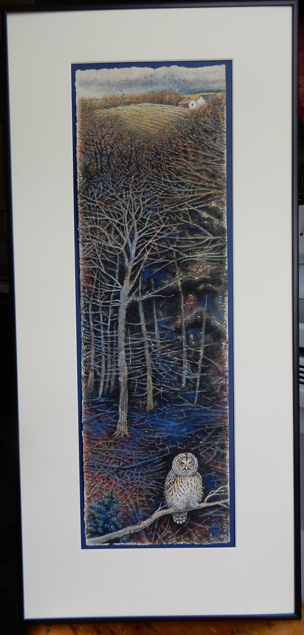 Barred Owl in Deep Woods