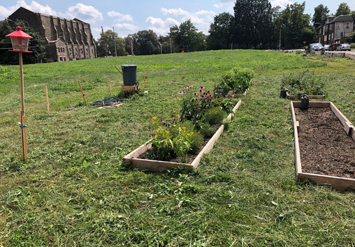 Community Gardening at Logan Triangle