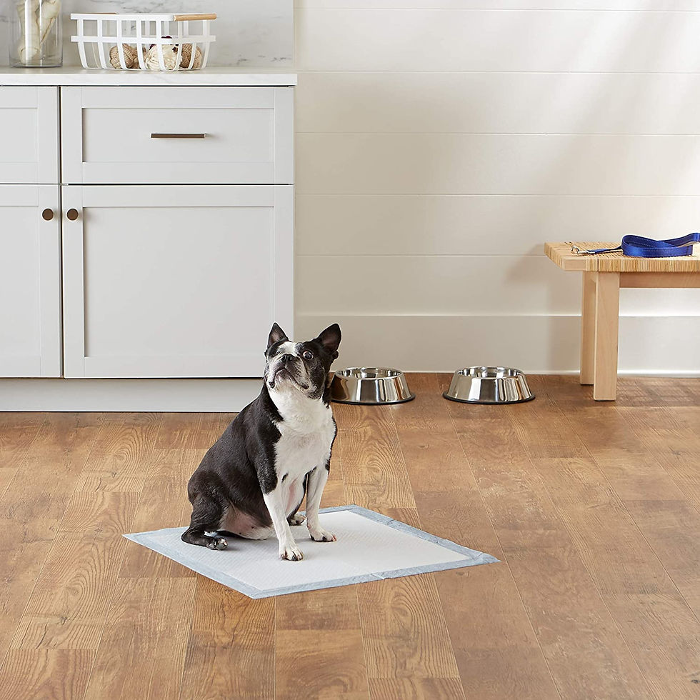 Thumbnail: Amazon Basics Dog and Puppy Pads, Leak-proof 5-Layer Pee Pads with Quick-dry Su