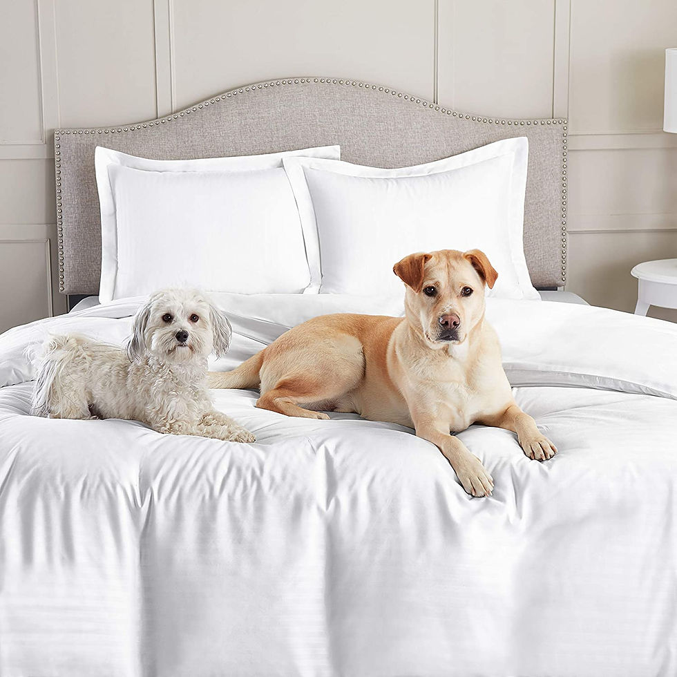 الصورة المصغرة: Nestl White Duvet Cover Queen Size - Soft Queen Duvet Cover Set, 3 Piece Double