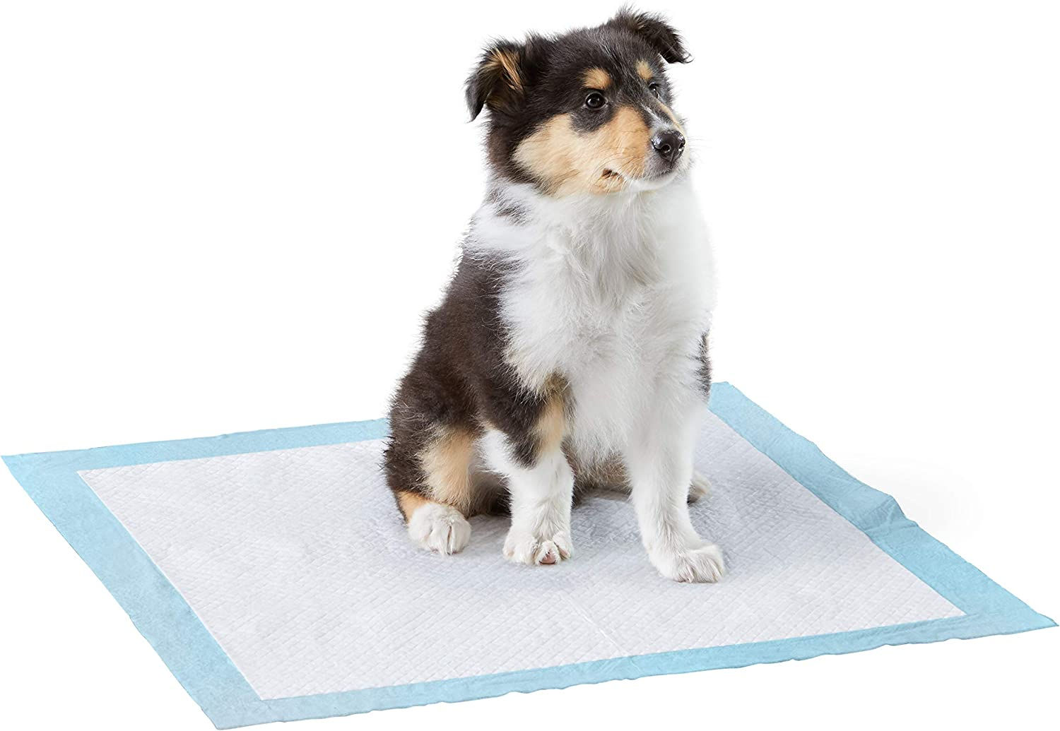 Amazon Basics Dog and Puppy Pads, Leak-proof 5-Layer Pee Pads with Quick-dry Su