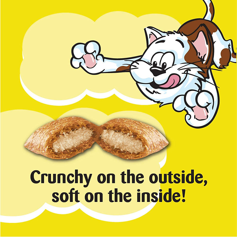 Thumbnail: Temptations Cat Treats, Tasty Chicken Flavour, 454g Tub