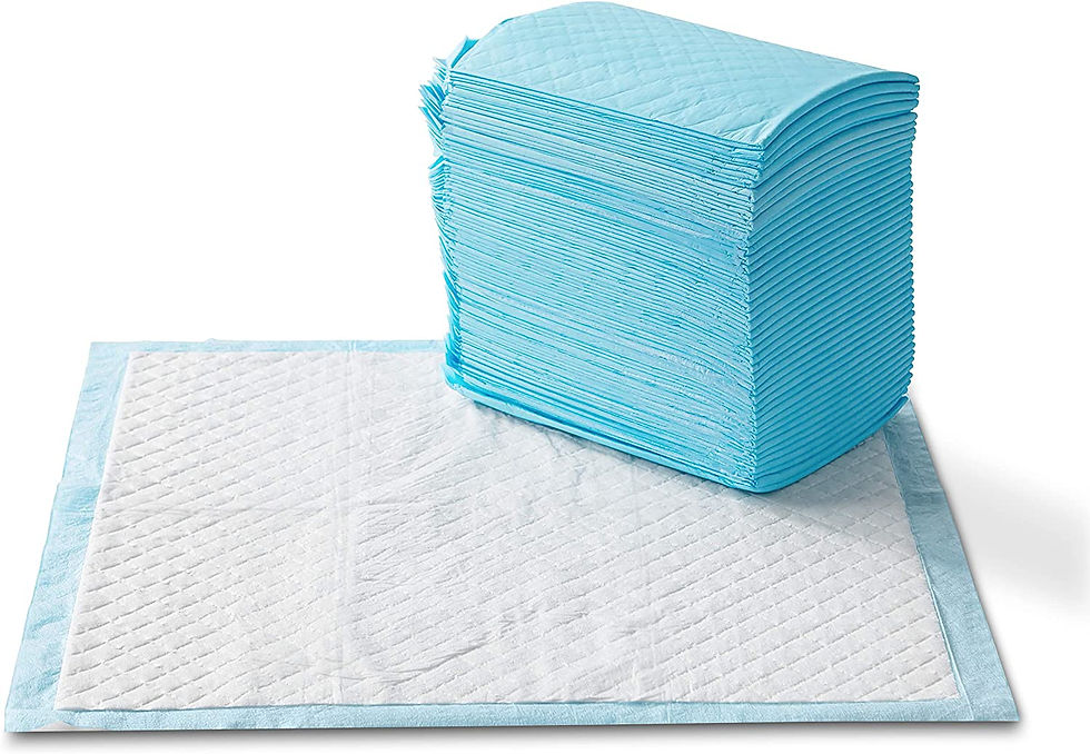 Thumbnail: Amazon Basics Dog and Puppy Pads, Leak-proof 5-Layer Pee Pads with Quick-dry Su