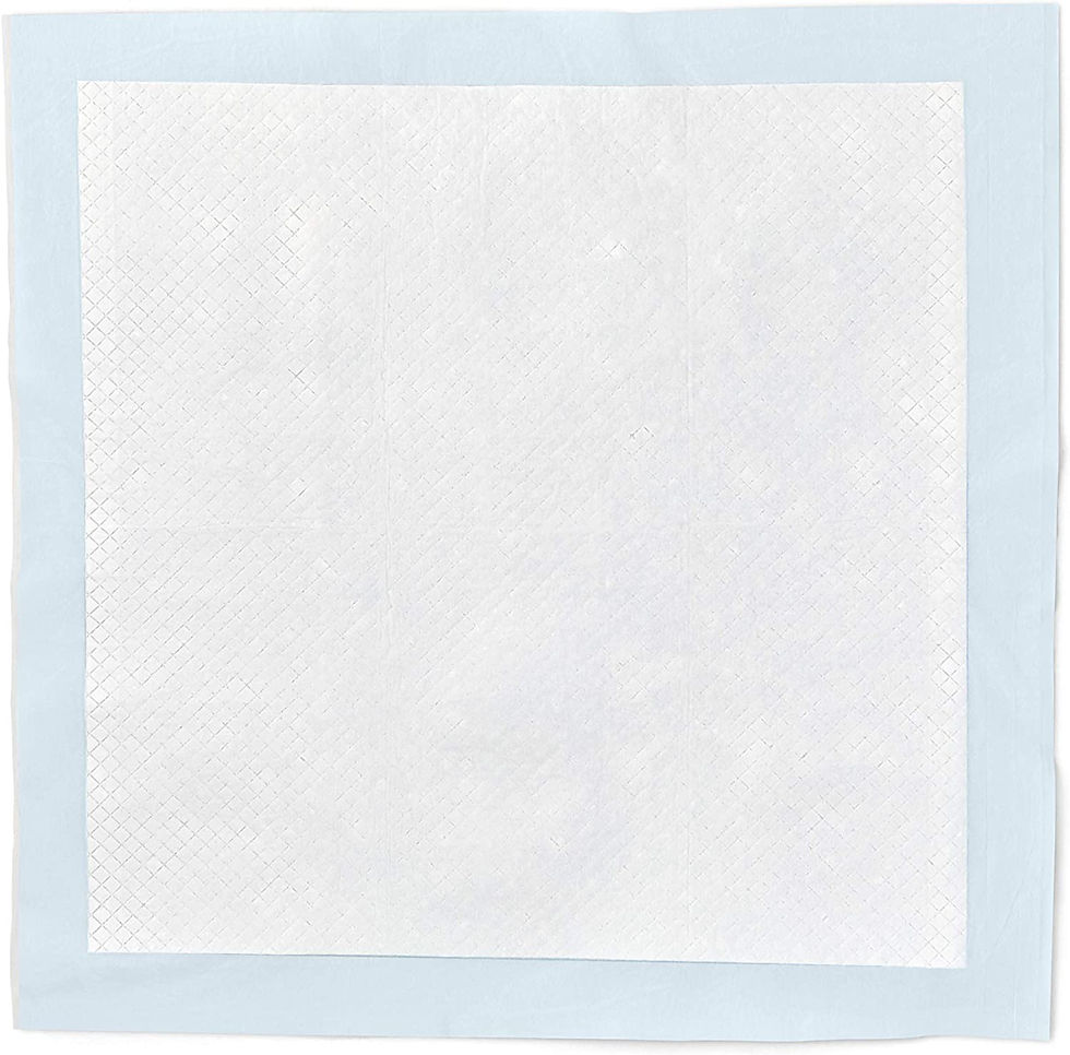 Thumbnail: Amazon Basics Dog and Puppy Pads, Leak-proof 5-Layer Pee Pads with Quick-dry Su