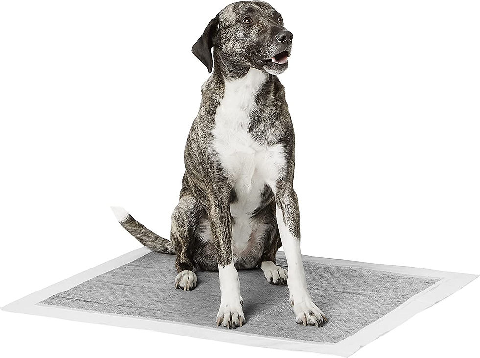 Thumbnail: Amazon Basics Dog and Puppy Pads, Leak-proof 5-Layer Pee Pads with Quick-dry Su