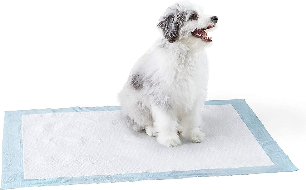 Thumbnail: Amazon Basics Dog and Puppy Pads, Leak-proof 5-Layer Pee Pads with Quick-dry Su