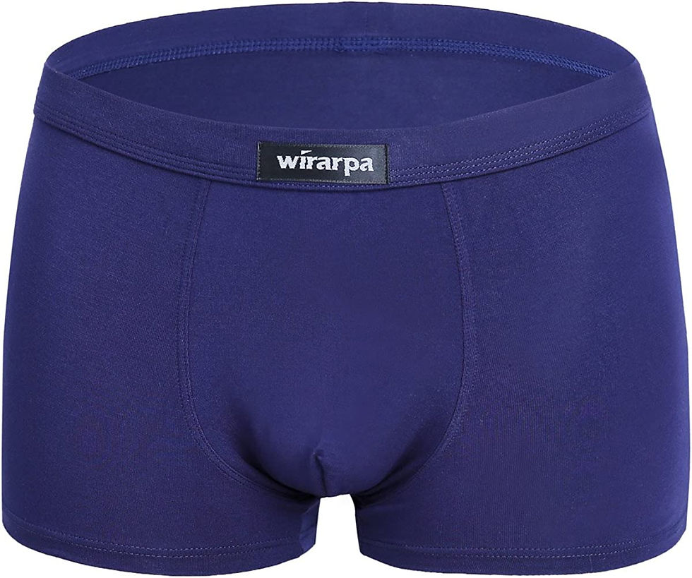 Miniature : wirarpa Men's Underwear Modal Ultra Soft Boxer Briefs Covered Waistband Short L
