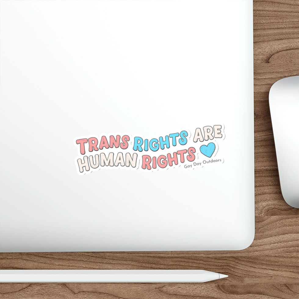 Thumbnail: Trans Rights Are Human Rights Pride Vinyl Sticker Decal