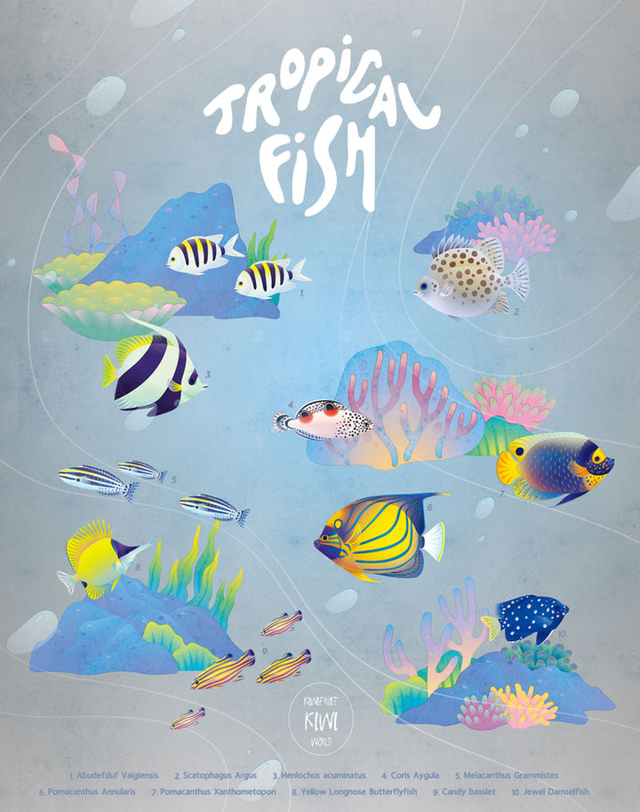 TROPICAL FISH 熱帶魚圖像練習
