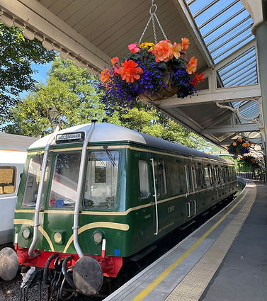 flowers_stanhope_canopy.jpg