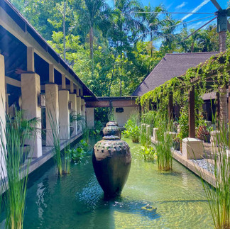 Peaceful lily pond at The Banjaran Hot Spring Retreat, featuring palms, wooden pergola and water plants. Ipoh, Malaysia